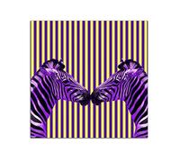 Startonight Acrylic Glass Wall Art - Zebra Tenderness Decor - Glossy Artwork 60 x 60 CM Home Decor Ready to Hang