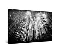 Startonight Canvas Wall Art Black and White Abstract Starry Night, Framed Artwork Picture Decor for Living Room, Unique Luminous Wall Art Minimalism Piece 80 cm x 120 cm Day & Night Effect