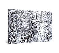 Startonight Canvas Wall Art - Branches Tree Nature Abstract Landscape, Black and White Picture for Living Room Large Framed Modern and Contemporary Picture, Unique Luminous Wall Art 80 cm x 120 cm