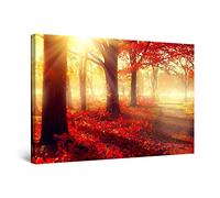 Startonight Canvas Wall Art - Daydream Red Morning the Forest, Nature Trees Landscape Light Large Stretched Print, Modern for Bedroom or Living Room, Decor Unique Luminous Artwork 80 cm x 120 cm
