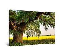 Startonight Canvas Wall Art - Old Tree on the Green Field, Nature Summer Landscape Picture Photo Stretched Print, Modern Artwork for Living Room, Office Large 80 cm x 120 cm