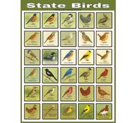 State Birds: 50 Coloring Pages Compiled by Tammy Burch