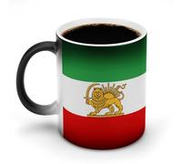 State Flag of Iran Funny Heat Changing Mug Ceramic Coffee Cup Color Change Mugs Personalised Gifts