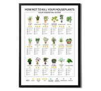 State Media Vision Houseplants Essential Care Poster - Sunlight, Watering, Temperature, Feeding, Humidity Info - Variety of Sizes (A4 Print Only)