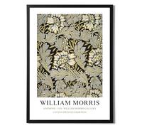 State Media Vision William Morris Anemone Poster - Famous Artist Drawings - Stylish Home Decor in a Variety of Sizes (Anemone, A4 Print Only)