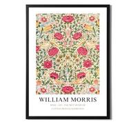 State Media Vision William Morris Rose Poster - Famous Artist Drawings - Stylish Home Decor in a Variety of Sizes (Rose, A3 Black Framed)