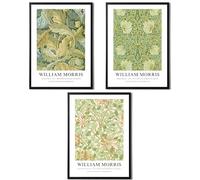 State Media Vision William Morris Set of 3 Art Prints - Acanthus, Honeysuckle, Pimpernel - Famous Artist Pictures Available in a Variety of Sizes (Set 7, A4 Print Only)