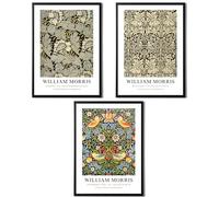 State Media Vision William Morris Set of 3 Art Prints - Anemone, Strawberry Thief, Brer Rabbit - Famous Artist Pictures Available in a Variety of Sizes (Set 4, A4 Black Framed)