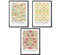 State Media Vision William Morris Set of 3 Art Prints - Trellis, Rose, Daisy - Famous Artist Pictures Available in a Variety of Sizes (Set 6, A4 Black Framed)