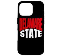 State Of Delaware Travel Culture Case for iPhone 16 Pro