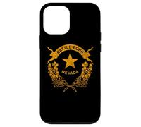 STATE OF NEVADA FLAG - LAS VEGAS RENO LAKE TAHOE CARSON Case for iPhone 12 mini