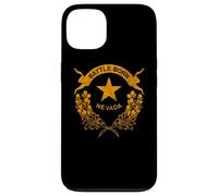 STATE OF NEVADA FLAG - LAS VEGAS RENO LAKE TAHOE CARSON Case for iPhone 13