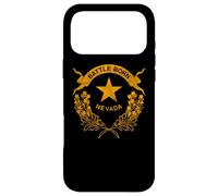STATE OF NEVADA FLAG - LAS VEGAS RENO LAKE TAHOE CARSON Case for iPhone 17 Pro Max