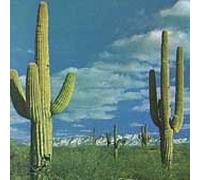 State of the Art Is on Fire / Plays Music Machine by Rocket From the Crypt (1996-11-12)