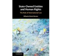 State-Owned Entities and Human Rights : The Role of International Law