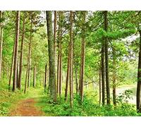 State Parks along the Mighty Mississippi