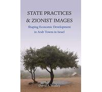 State Practices and Zionist Images: Shaping Economic Development in Arab Towns in Israel (Human Rights in Context)