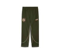 PUMA Manchester City Ftblstatement Track Pants Men, Myrtle/Poppy Pink, size Large