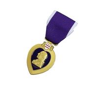 States Purpleness Hearts Medals Lapel Pin Militarys Medals Pin Badge Honors Respect for the Braves Decorative Badge Purpleness Hearts Lapel