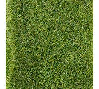 Static Wild Grass: Meadow Green 5-6mm 75g