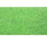 Static Wild Grass: Prairie Grass Dark 5-6mm 75g