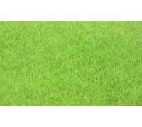 Static Wild Grass: Prairie Grass Light 5-6mm 75g