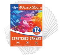 STATIONERY ISLAND 12 Pack Stretched Canvas 40x50cm, Large Canvas for Painting 100% Cotton Acid Free Professional Art Canvases for Acrylic Oil Gouache Watercolour(16“ X 20”)