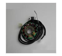 Stator Coil 11-coil Magneto Stator For Motorcycle 253FMM For Rebel CA250 CMX250 Barracuda Tank Vision Baja Phoenix Re&gal For RAPTOR DD250 FYM FY250