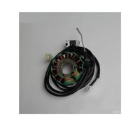 Stator Coil 11-coil Magneto Stator For Motorcycle 253FMM For Rebel CA250 CMX250 Barracuda Tank Vision Baja Phoenix Re&gal For RAPTOR DD250 FYM FY250