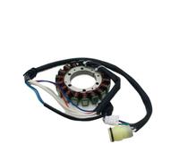 Stator Coil And Ignition Coils Compatible With Yamaha Warrior 350 YFM350 2002 2003 2004 5NF-81410-00-00