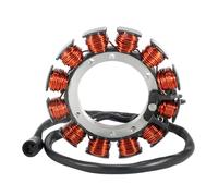Stator Coil Compatible With Buell For Blast 500 2000 2001 2002 2003 2004 2005 2006 2007 2008 2009 Motorcycle Ignition Generator Stator Coil OEM:2996789C