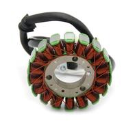 Stator Coil Compatible With For Yfm250 For Raptor 250 Special Edition 2 2008-2009 Motorcycle Magneto Stator Coil 4D3-81410-00