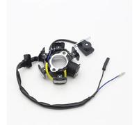Stator Coil Compatible With Z50R 1988-1989/1991 1992 1993 1994 1995 1996 1997 1998 1999 Motorcycle Magneto Stator Coil 31120-GW8-671 31120-GW8-672