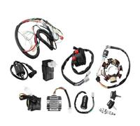 Stator Coil Fit 125cc 150cc 200cc 250cc Push Rod Engine Dirt Bike ATV QUAD ELECTRICS CDI Wire Harness Stator Assembly Wiring