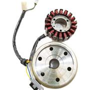 Stator Coil For 250 Magneto Rotor Flywheel