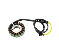 Stator Coil For 31401-01D10 GS500 2001-2006 GS500F 2004-2011 GS500H 2001-2003/2007-2011 Motorcycle Magneto