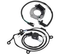 Stator Coil For CR80R CR80RB 1996-2002 CR85R CR85RB 2003 2004 31120-GBF-831 30300-GC4-601 Stator And Pulse Coil & Gasket Magneto Stator