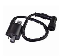 Stator Coil Ignition Coil Pressure Coil For 50cc 90cc 110cc 125cc 150cc 200cc 250cc CG125 RM250 RM125 ATV Quad Dirt Pit Bike