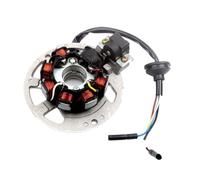 Stator Coil Ignition Generator Coil Magneto Stator For Minarelli Aerox 50 Axis Breeze JOG50 R JOG RR Neos Why 50cc 2-stroke Ignition