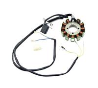 Stator Coil Ignition Generator Spare Parts 12 Coil Pole Stator Magneto For CG250 Li&fan Zo&ngshen 250cc Engine ATV QUAD Bu&ggy Go Karts Ignition