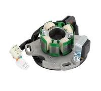 Stator Coil Magneto Ignition Stator For RM250 1996 1997 1998 1999 2000