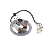 Stator Coil Magneto Stator Ignition Generator 2 Poles Coils Fit For Scooter ATV