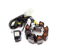 Stator Coil Motorcycle For TRX250 Four Trax 250 1997 1998 1999 2000 2001 2002 2003 2004 31120-HM8-004 Motorcycle Stator Coil Motorbike Magneto Stator Plate Ignition Coil