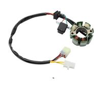 Stator Coil Replacement Compatible with Part Numbers 8000A1430 and 8000A4266 for TE250 TE450 SM400R SM510R TC250