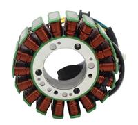 Stator Coil S31120RCA000 Compatible With DS250 DS 250 2008-2016