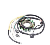 Stator Compatible With Automotive Motorcycle Parts 500 NO-HO Big Boss 500 Scrambler 500 4x4 6x6 1997 1998 1999 2000 2001 For Part Number 3085561 3086821