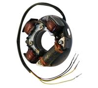 Stator Generator Compatible with GS LE GTS SP SPI SPX HX XP Models - Replaces OEM Numbers 290886725 290886726 420886725