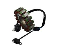 Stator Generator Compatible With Target 400 425 500 525 550 ATV Quad 924415E