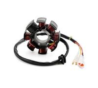 Stator Generator Fit For B-ta RR 125 200 250 300 / Racing X-Trainer 2T 2013-2023