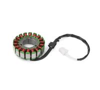 Stator Magneto part Motorcycle Magneto Generator Alternator Engine Stator Charging Coil For Y-AMAHA FZ6 For FAZER S2 2006